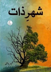 Urdu Novel Shehr e Zaat by Umera Ahmed