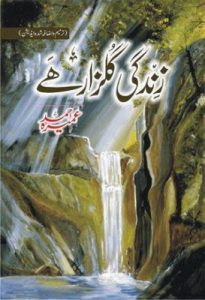 Urdu Novel Zindagi Gulzar Hai By Umera Ahmed