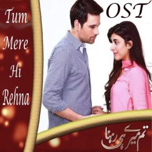 Tum meri hi rehna by Shaheen Malik Free Download 