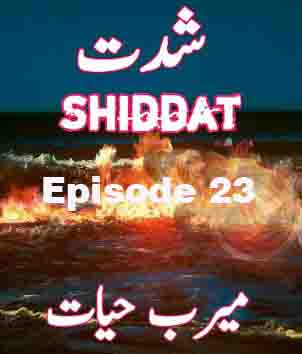 Shiddat Urdu Novel Episode 23