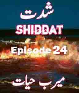 Shiddat Urdu Novel Episode 24
