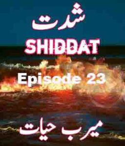 Shiddat Urdu Novel Last Episode