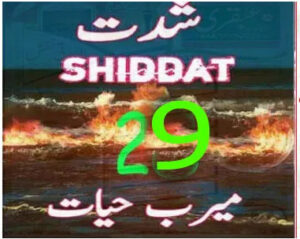 Shiddat Novel Episode 29 by Meerab Hayat